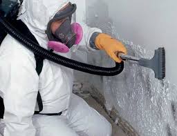 Best Asbestos and Lead Testing During Mold Inspection  in Washington, IA